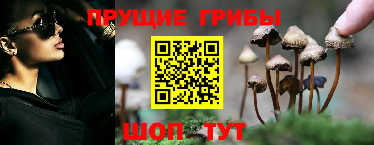 Галлюциногенные грибы Psilocybe  Вход с VPN  Алексин 
